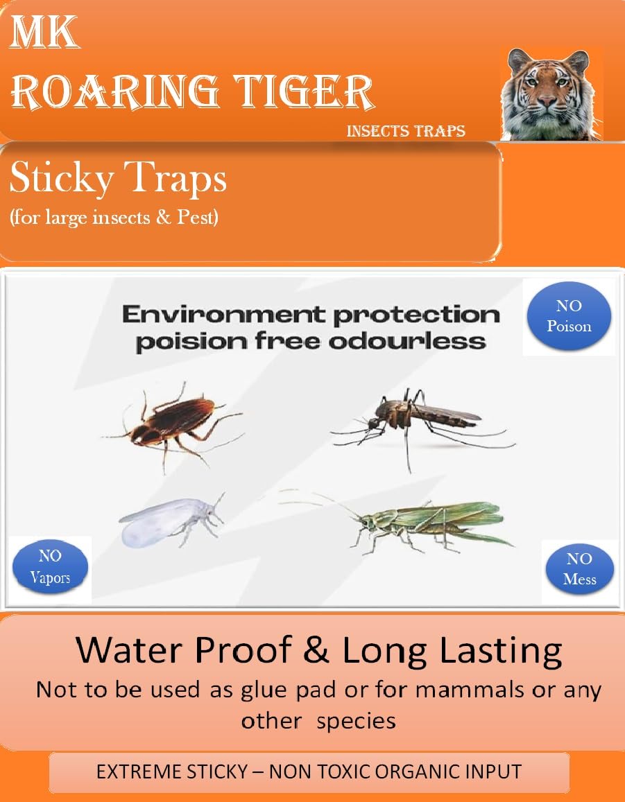mk heuse Sticky Insect Trap (Yellow, 6.5 x 8 Inch, Large Size) - Pack of 5 Design May Different-image-27