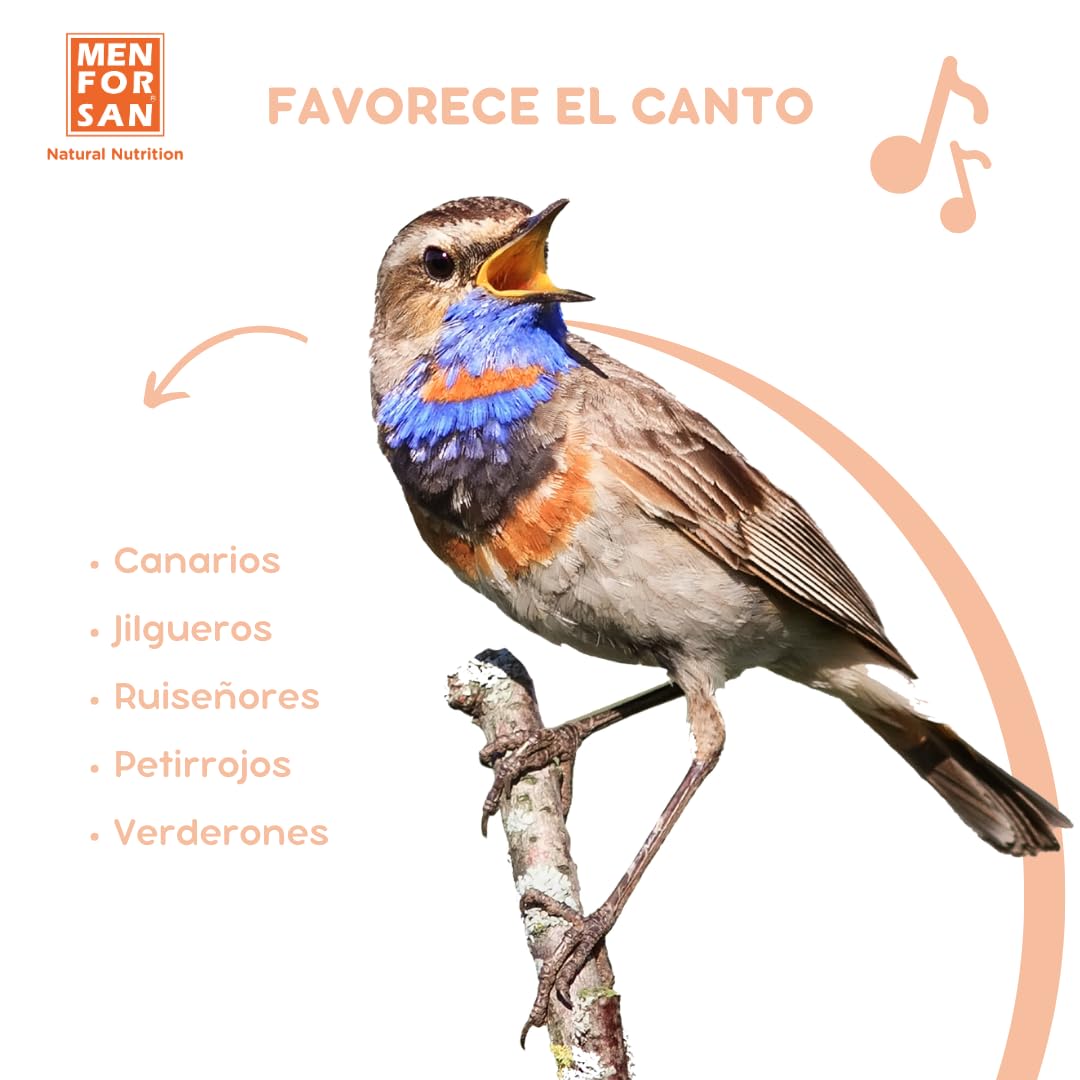 MENFORSAN Aliment complémentaire pour Oiseaux chantants | pour stimuler Le Chant et Le trine | 30 ML