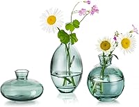 Vista 9 de Juego de 3 jarrones de vidrio para capullos, jarrones pequeños transparentes lindos Hewory hechos a mano, mini jarrón de vidrio para flores