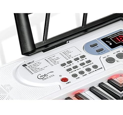 Amazon.com: Hricane Keyboard Piano Lighted Keys for Beginner
