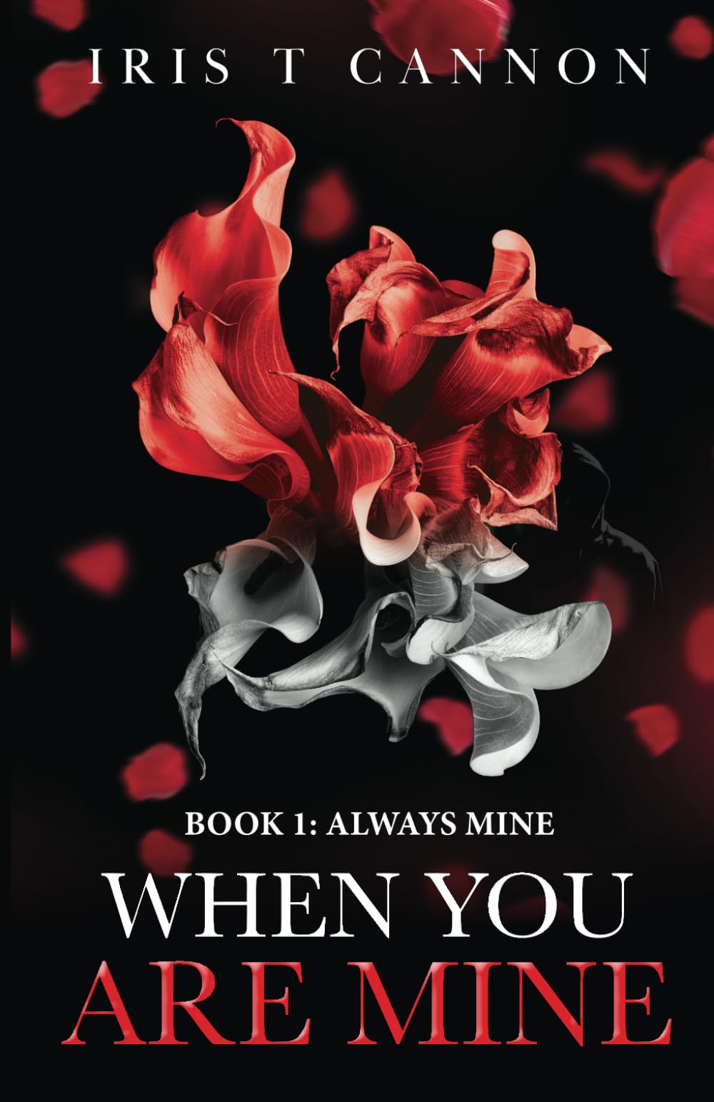 WHEN YOU ARE MINE (ALWAYS MINE)