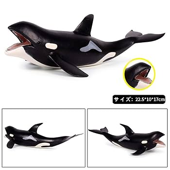 Amazon | Eden Toys シャチ マイルカ科 海獣 海洋動物 動物 模型