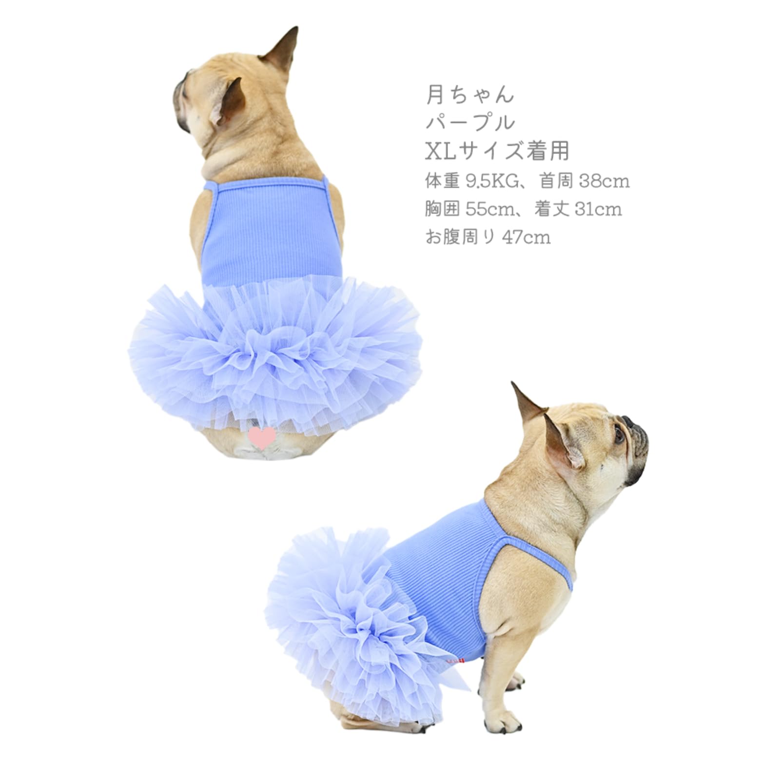Amazon | 【新色追加】ワンピース 犬服 可愛い バレリーナ