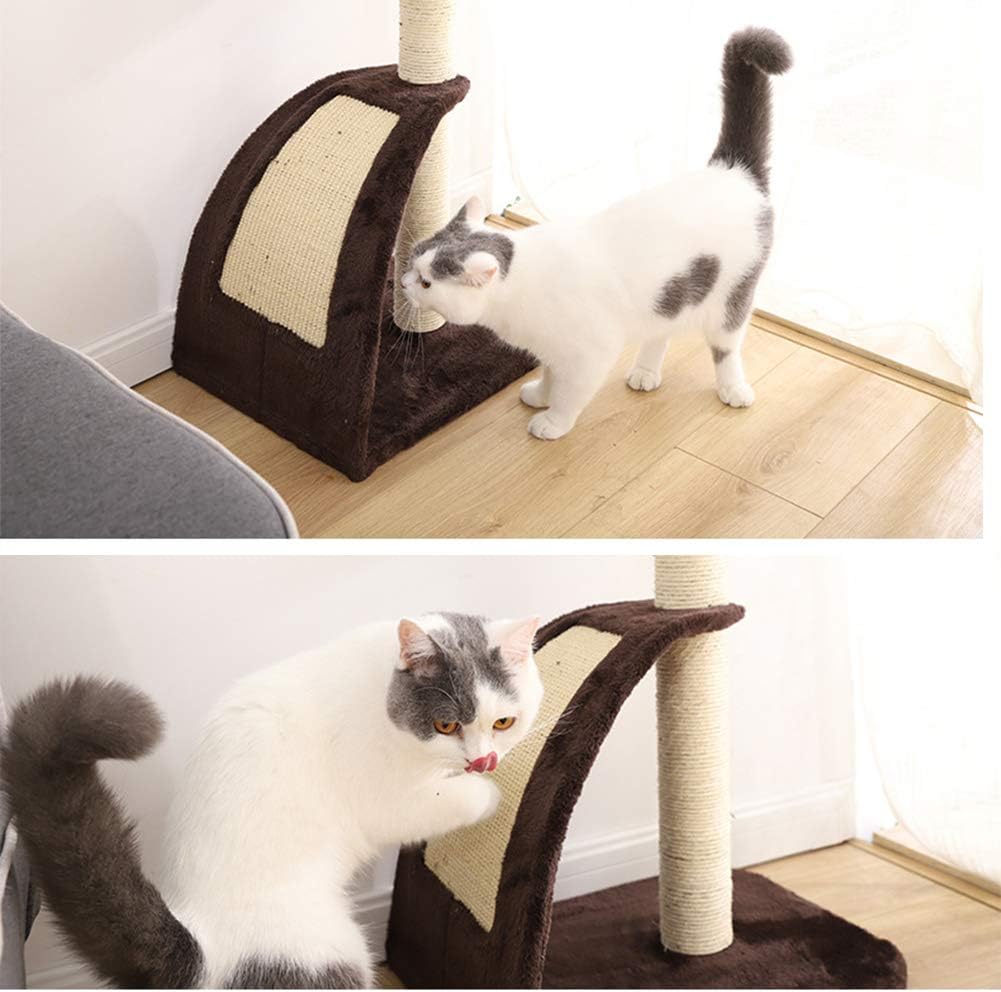 さ*ー様 斑入りモンステラホワイトタイガー90cm 超大型葉 極美株