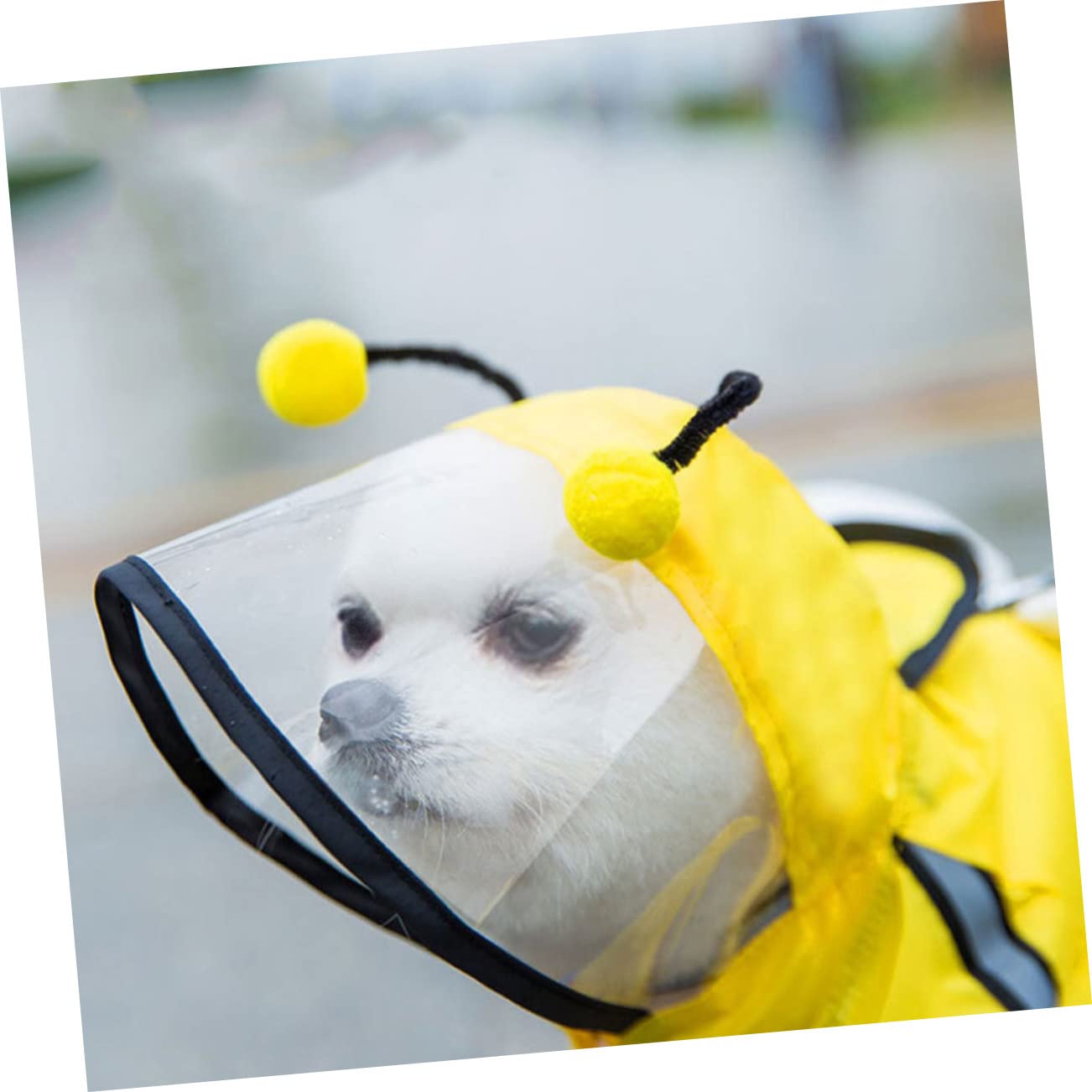 Angoily 3pièces Manteau De Pluie Étanche pour Chien Abeille Veste Élégante Et Respirante avec Capuche pour Chiens De Moyenne Et Petite Idéale pour Jours Pluvieux