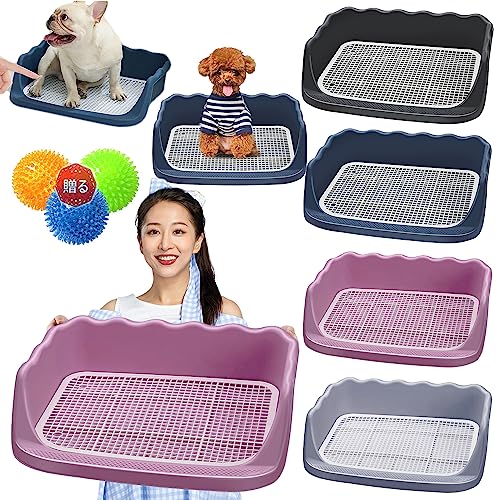 pgCg[ g[jO ybggC gC Ch pgC{bNX gCg[jO ybgpi pbhz_[ O\ ~ |ȒP ȒP R  O (sN)