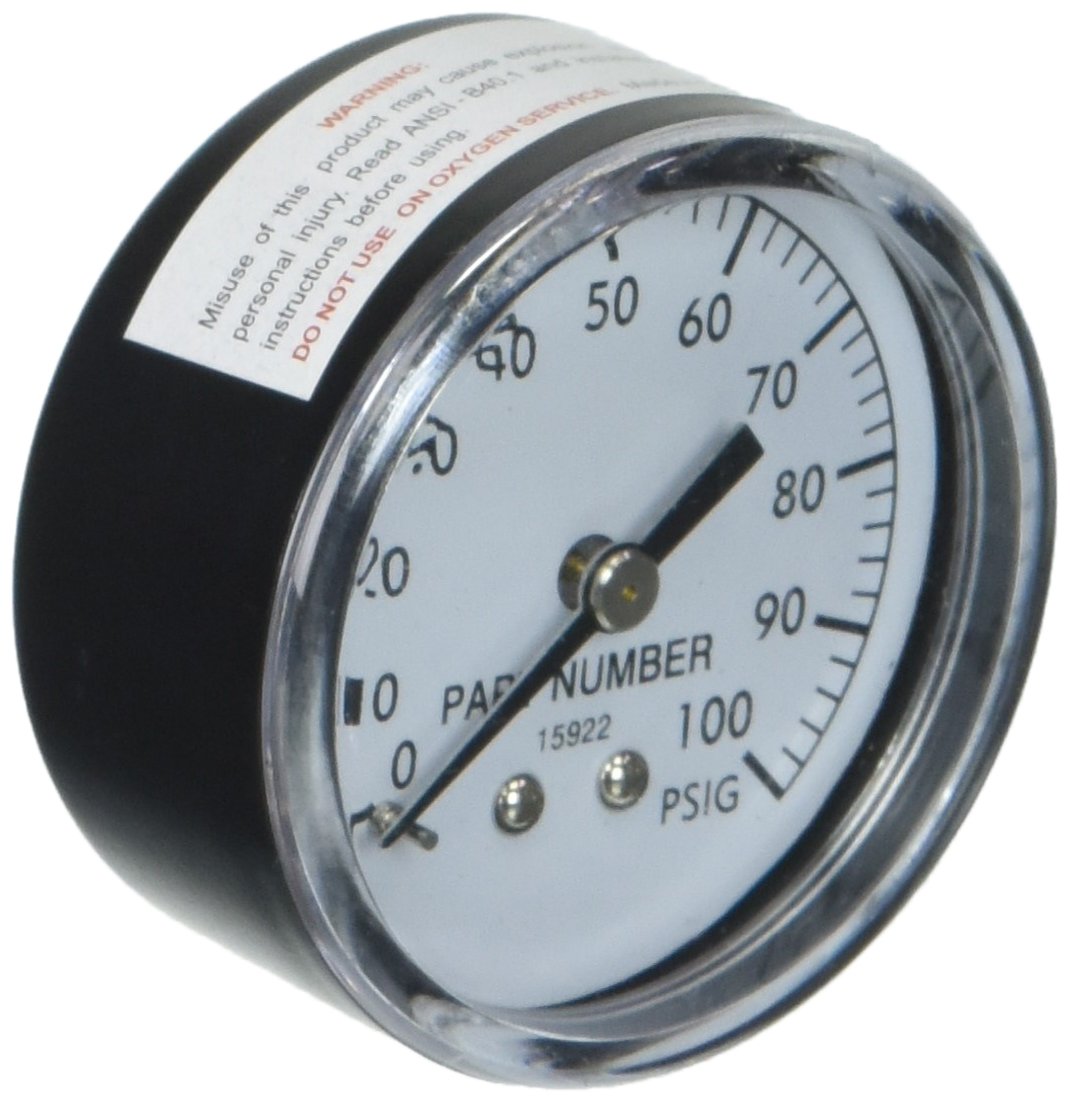 Wayne 66017-WYN1 2" Diameter, 0-100 PSI, 1/8" Back Replacement Part