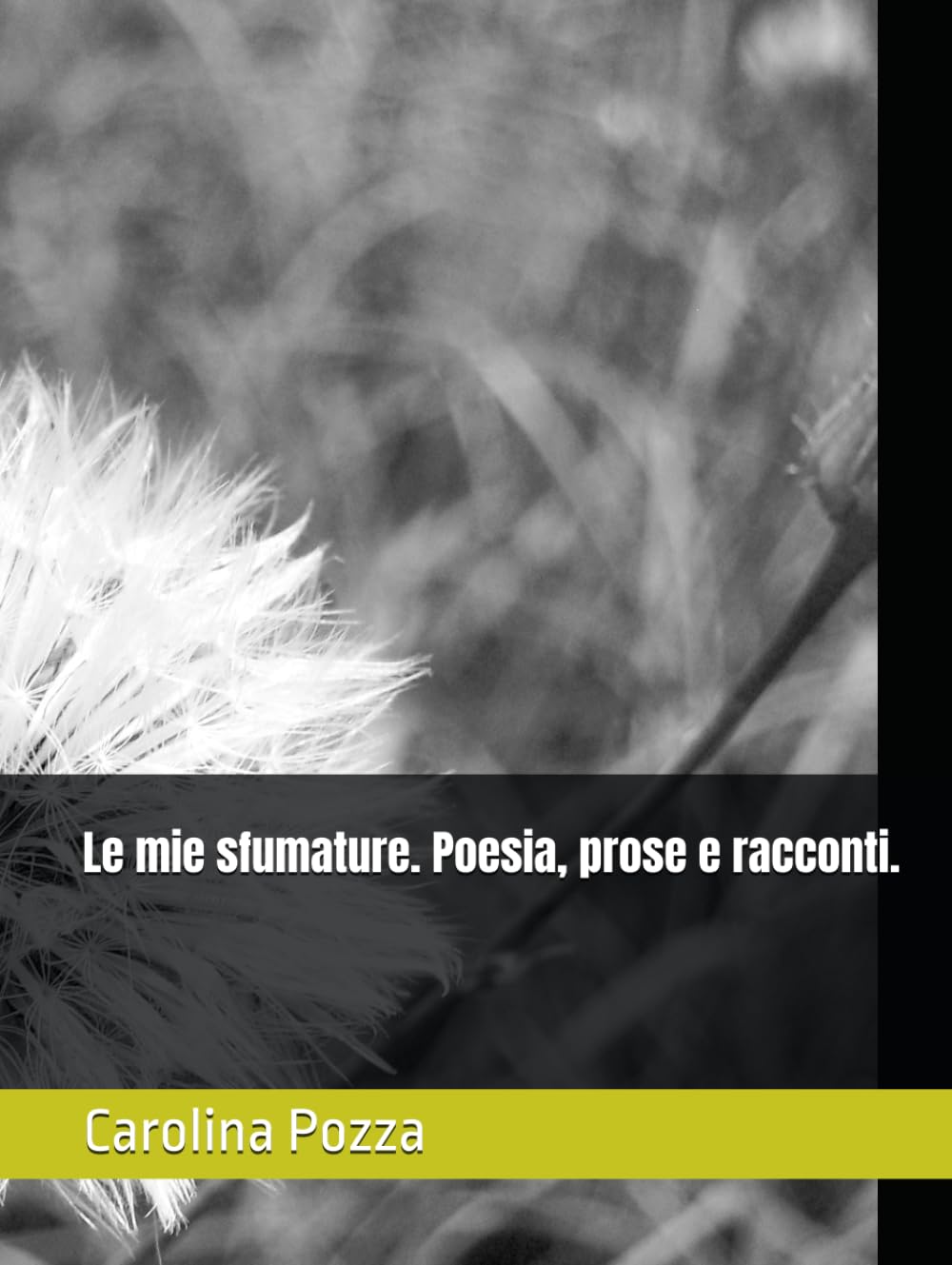 Le mie sfumature. Poesia, prose e racconti.