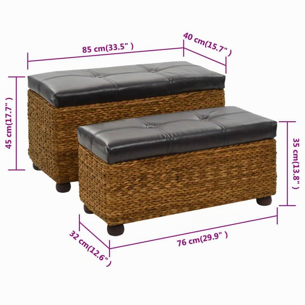 vidaXL Ensemble de Banc Lot de 2 Jacinthe d'eau Marron