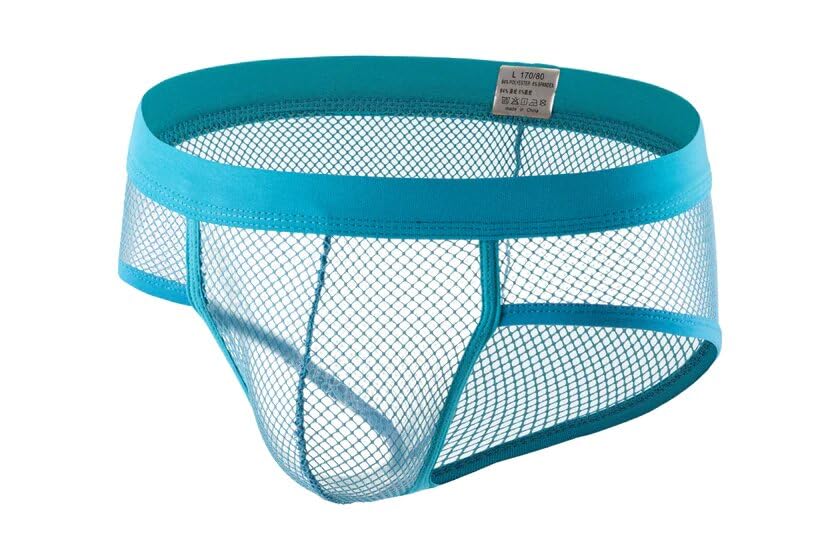 PANTEASYSexy Men's See Through Mesh Frenchie Brief Underwear