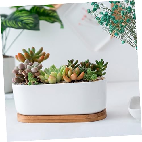 Miniatura 5 de GANAZONO Maceta de cerámica con bandeja para plantas drenantes para un crecimiento saludable para la decoración del hogar