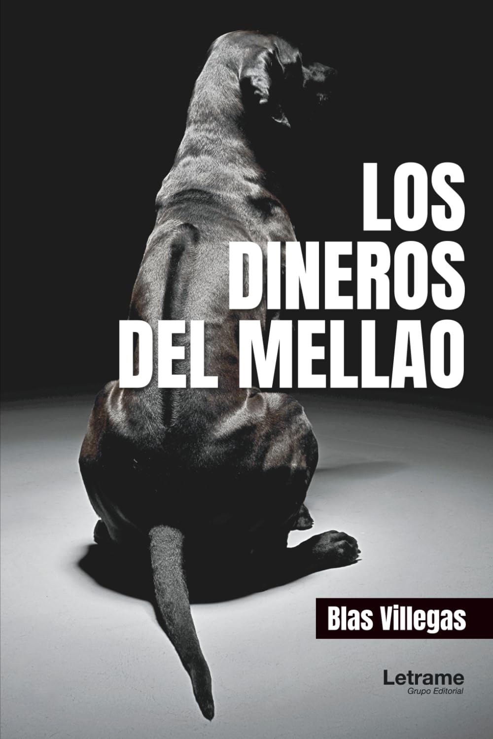 Los dineros del Mellao: 01 (Ficción)