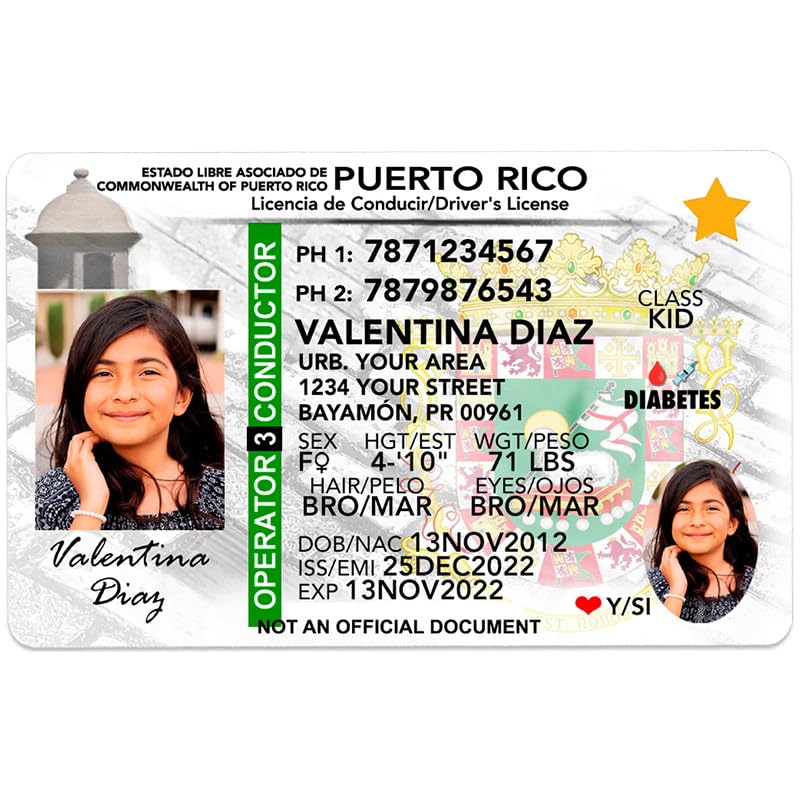 Puerto Rico Id Example Blank Drivers License Puerto Rico Lag Of Puertorico From Brush Strokes
