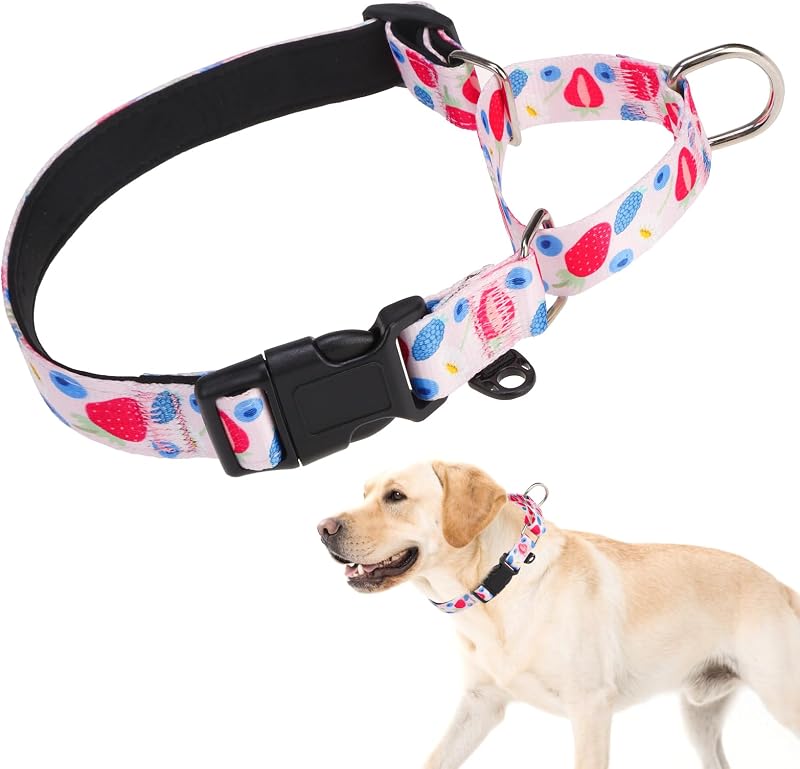 Coleira Martingale para Cães KOOLTAIL com Nylon Acolchoado e Fivela, Rosa, Tamanho L