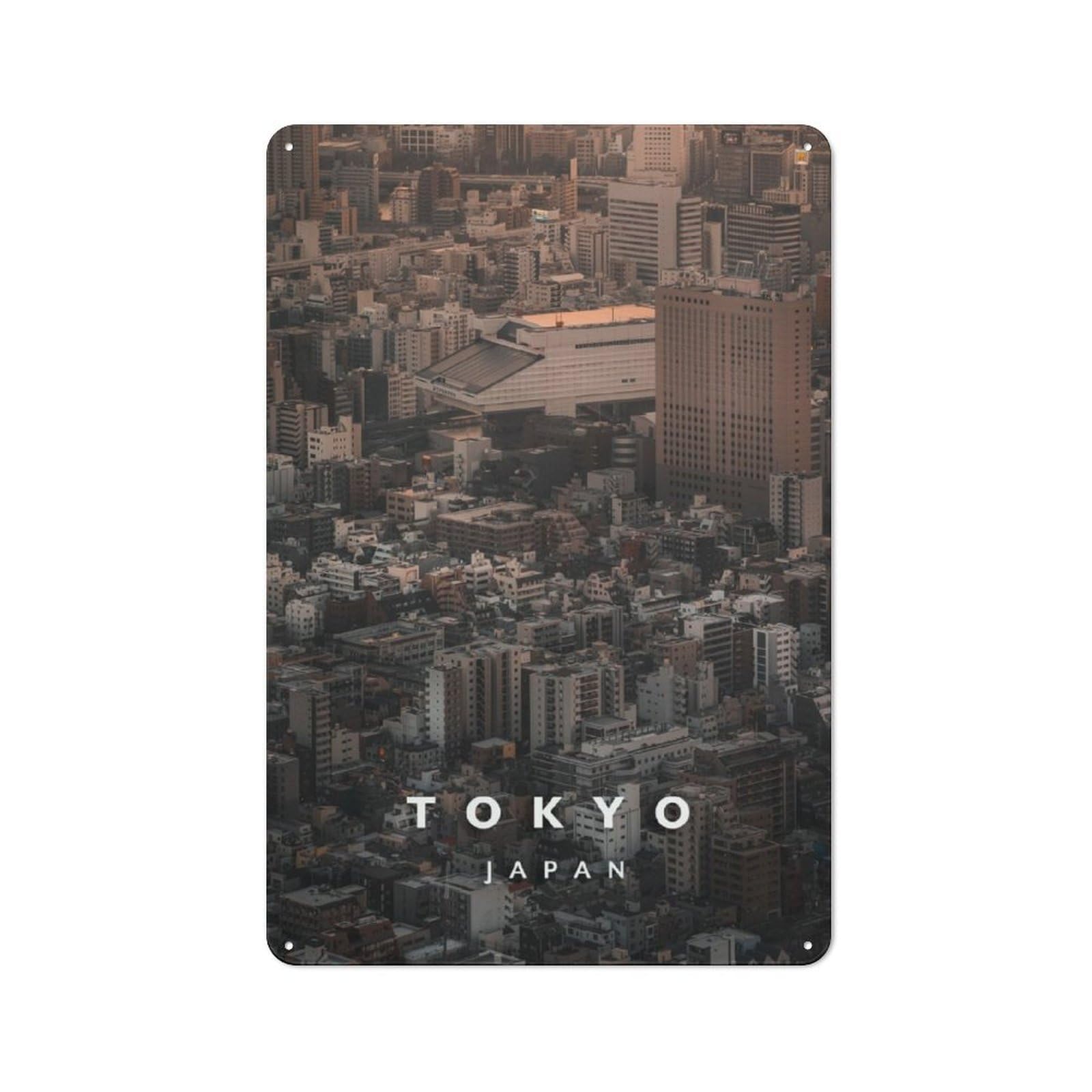 Junmoney Ryogoku Aerial View Retro Metal Sign 30X20cm For Garden Room Or Summerhouse, For Garden Room Decor Fans