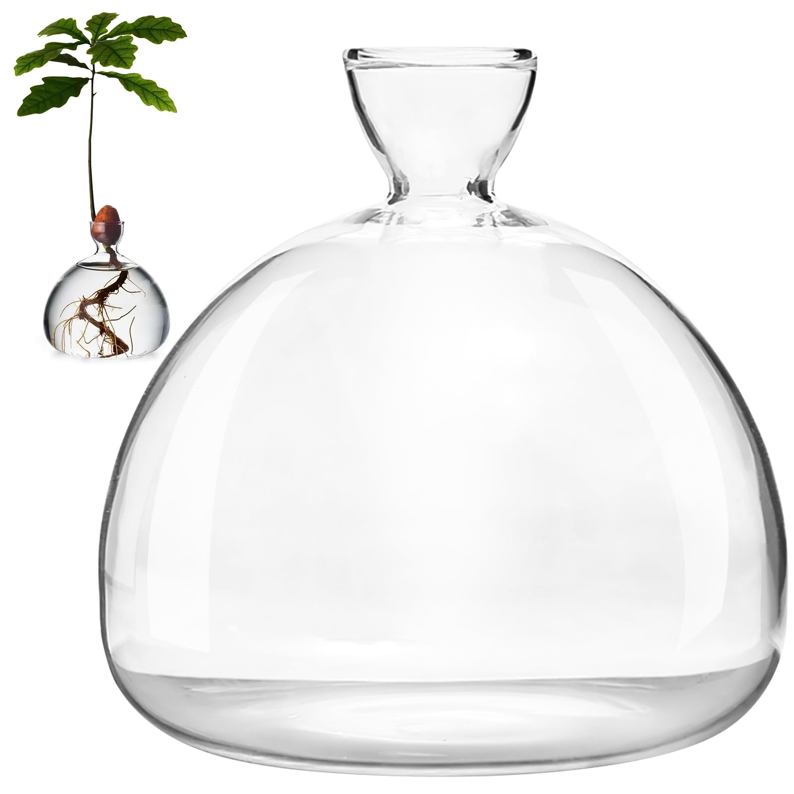 Joufsonan Avocado Seed Starter Vases, Glass Avocado Tree Flower Vases, Avocado Vases Grow, Glass Avocado Seed Vases, Avocado Seed Sprouter, Avocado Growing Kit for Gardening Lovers