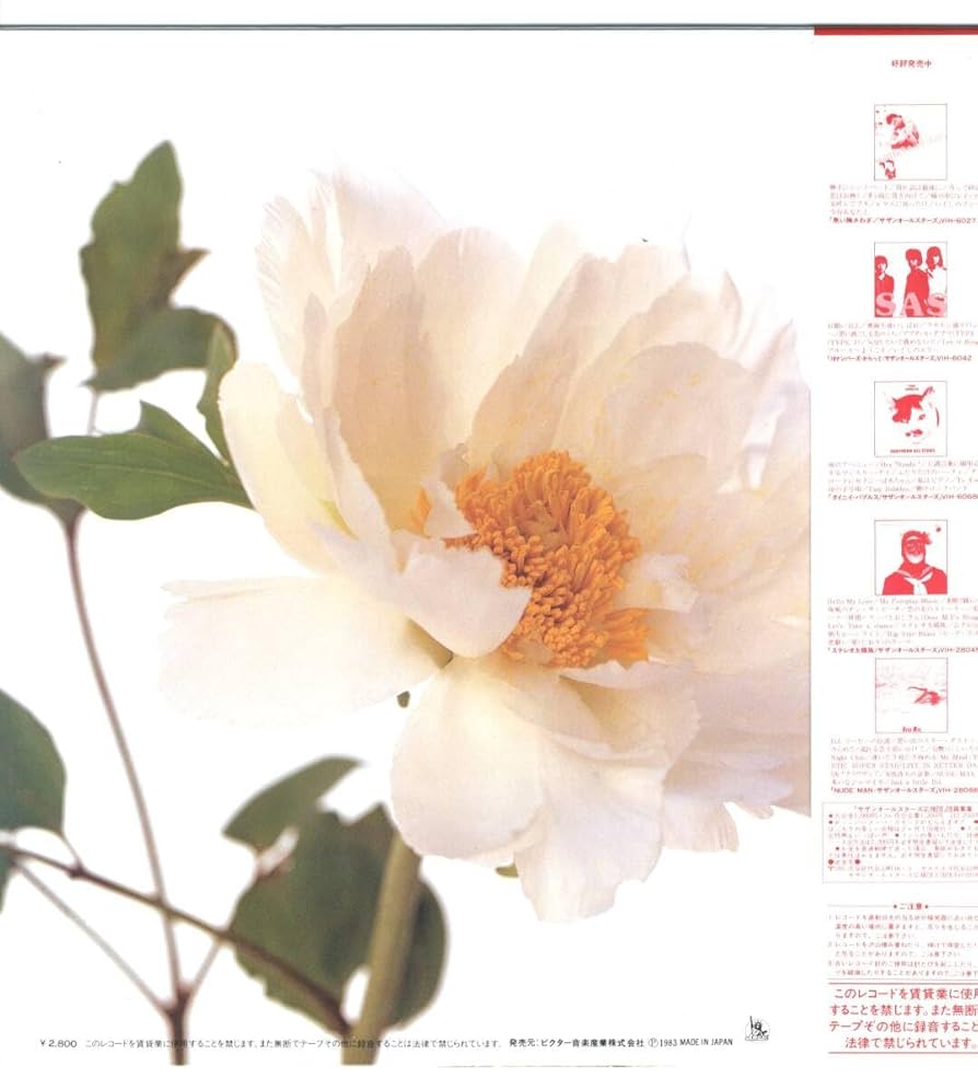 #サザンオールスターズ　LP3枚　　　　帯付き美品！ サザンオールスターズ LP3枚 帯付き美品！ サザンオールスターズ