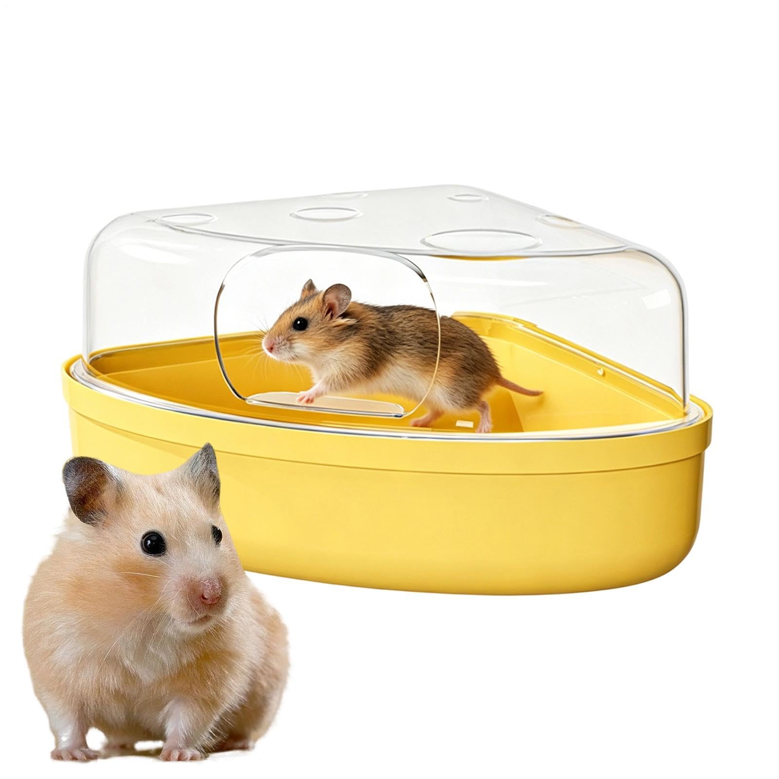 Bac à sable pour hamster idéal en voyage et enclos domestique