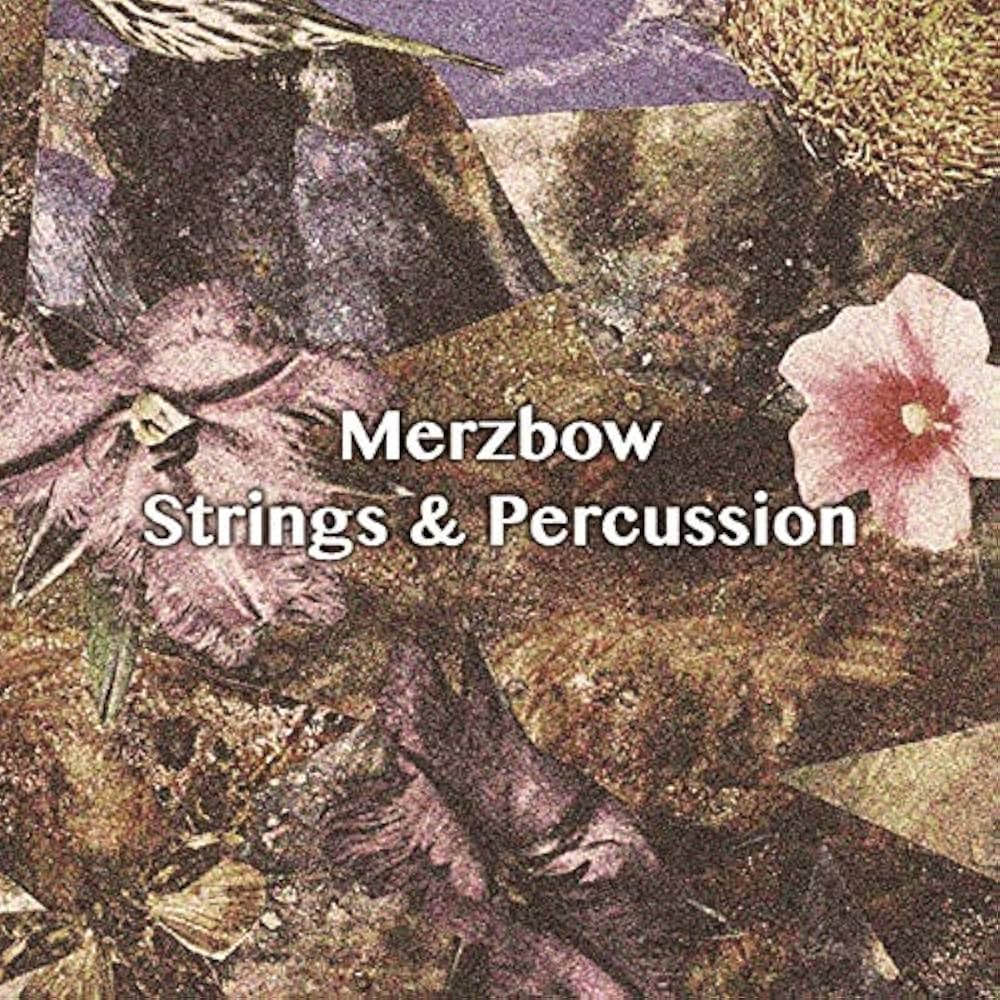 Merzbow - Strings & Percussion (6CD BOX) - Amazon.com Music
