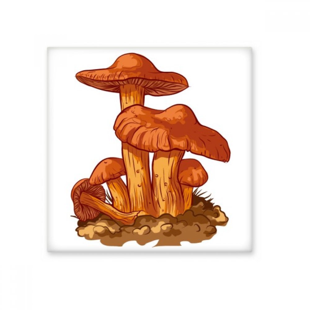 Carrelage céramique d'art illustration champignon orange pour décoration haut de gamme