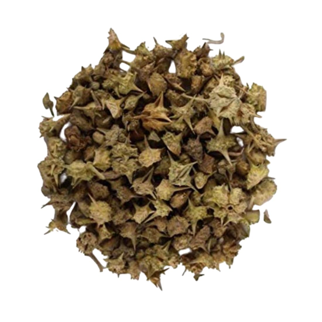 TRH Gokhru Bada - Pedalium Murex - Large Caltrops - Gokhroo Bada - Land Caltrops - Gokharu - Gorkhu - Gokshura (400 gm) — Amazon image 3