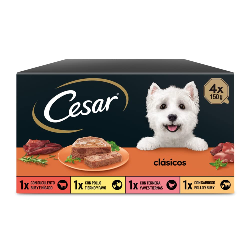César Multipack de Bandes Alimentaires humides pour Les bretaits, sélection de Classiques (Paquet de 6 x 4 tarifs x 150g)