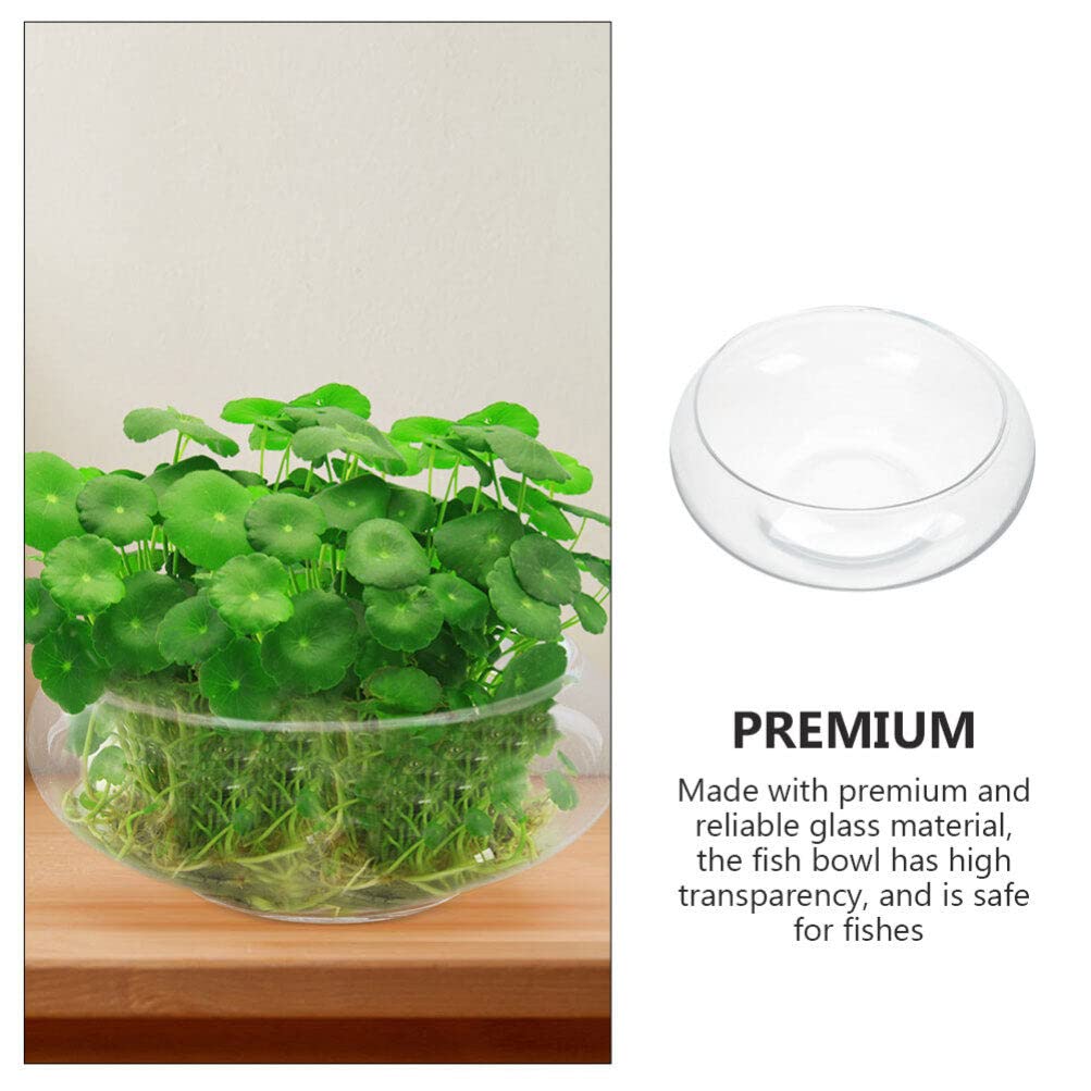 Vaso Ciotola Trasparente Milisten - Per Piante, Terrari O Pesci | Bocca Larga Decorativa - Foto 4