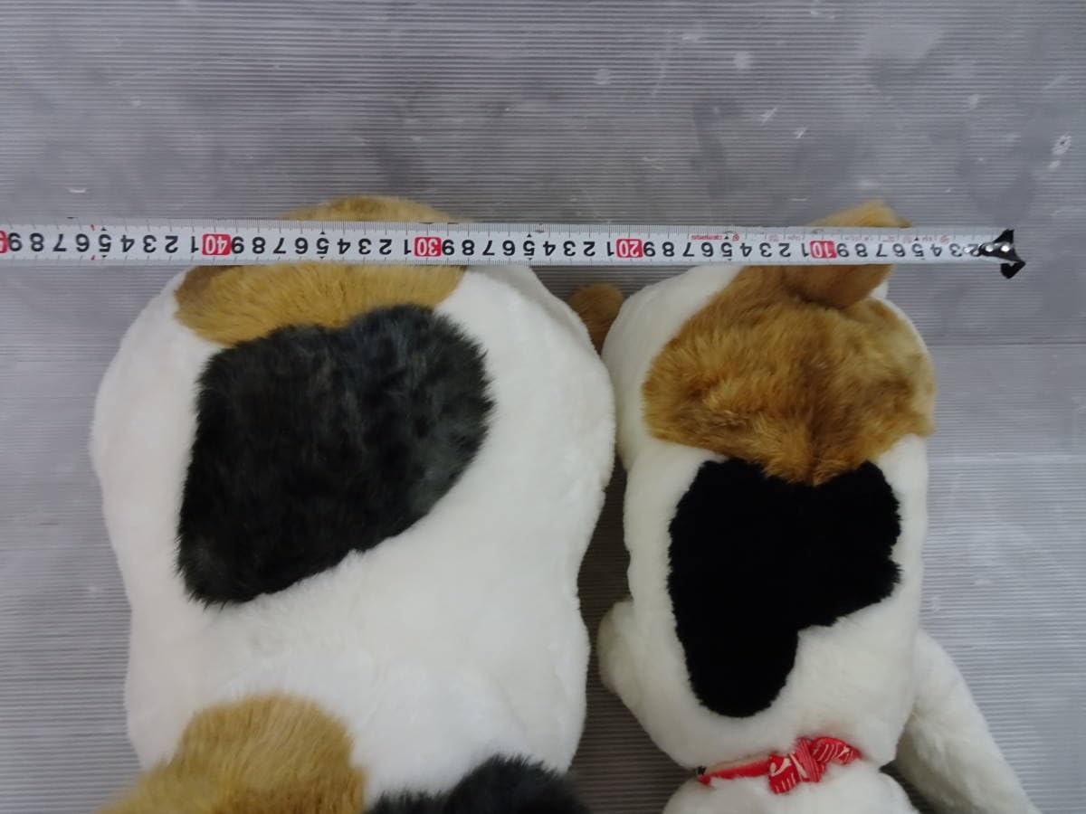 Amazon.co.jp: NO SIDE Cuddly マリア 大 小春 中 ぬいぐるみ New  