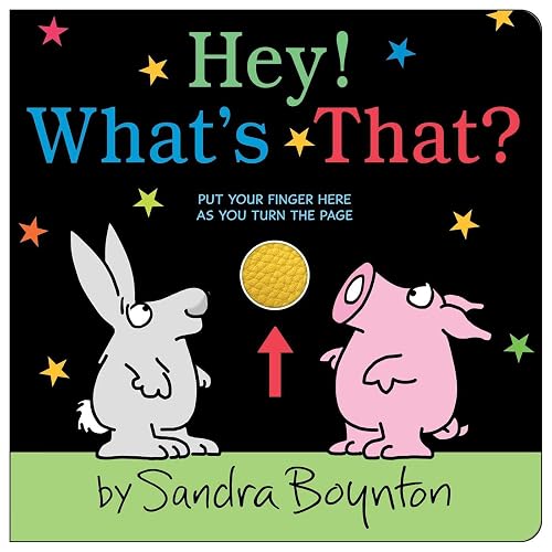 Hey! What's That? (Boynton on Board (Sandra Boynton Board Books))