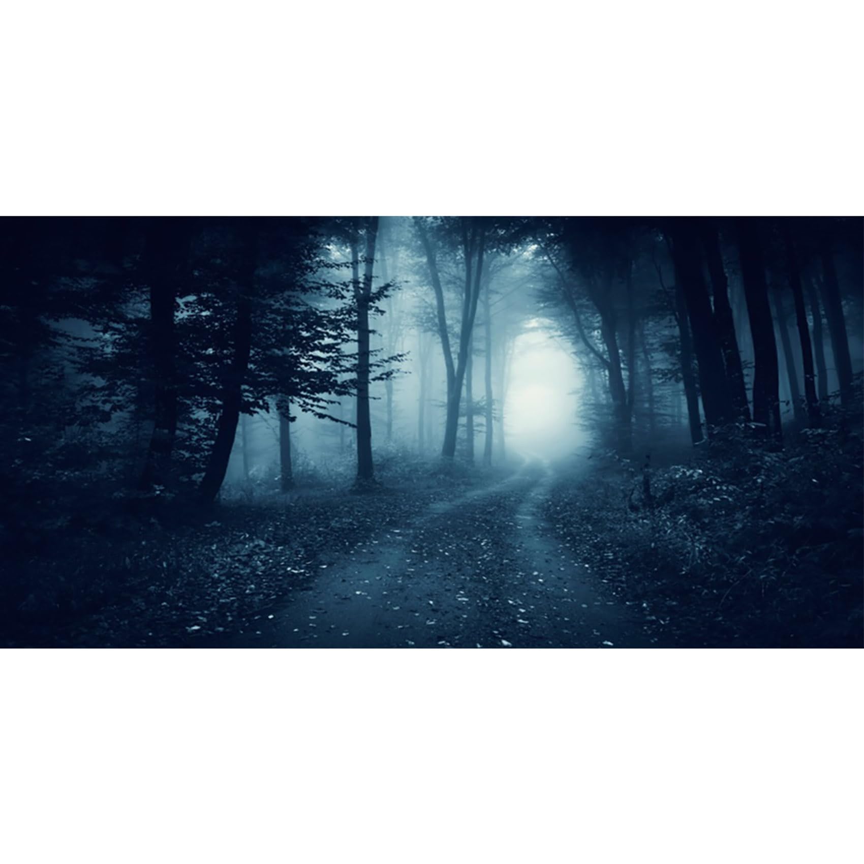 MIRRORANG 180x61cm Spooky Aquarium Background Forest Mist Path Trees Horror Night Scenery Vinyl Durable Fish Tank Background