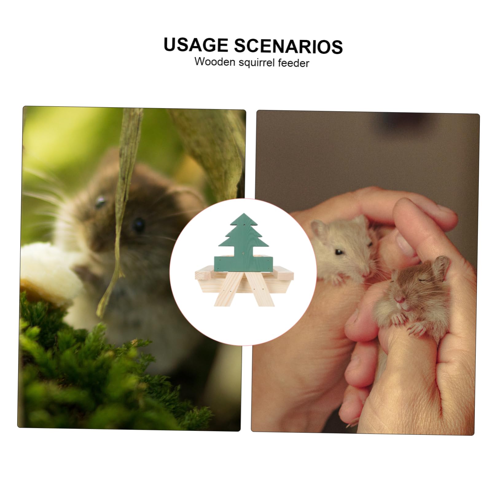 1 Pezzo Mangiatoia per Scoiattoli Rack per Noci e Semi con Panca per Animali Design per Uccelli e Furetti Naturale