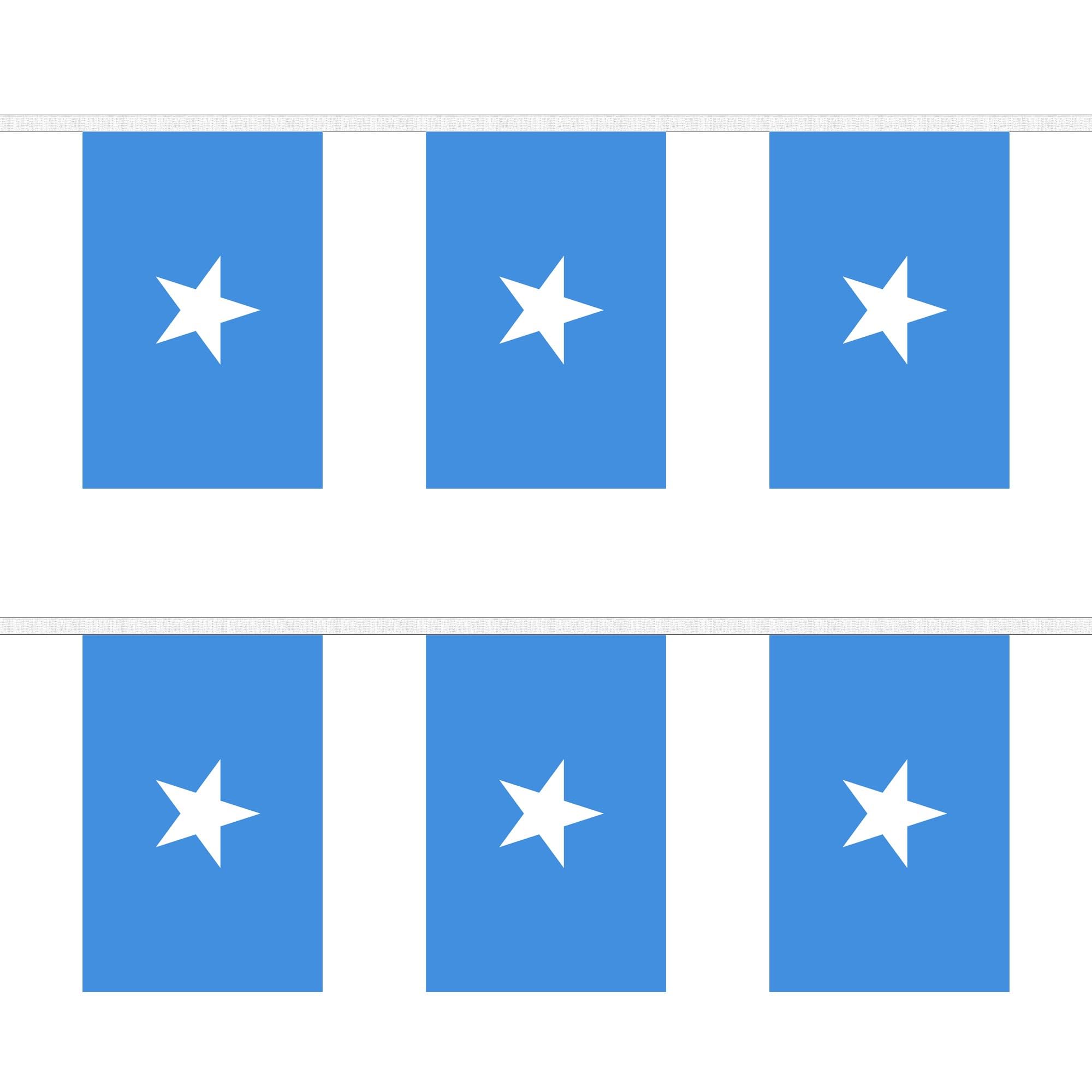 Flagtex Somalia Fabric Bunting – 9m with 30 Flags – Indoor & Outdoor Decoration – String Flags Banners Somali East Africa