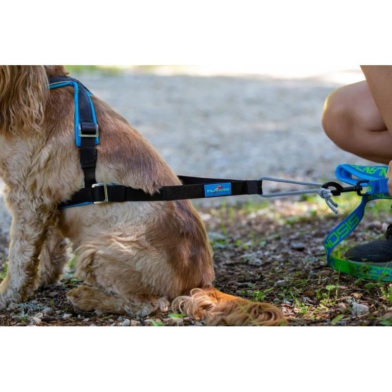 inlandsis Canicross Geschirr für kleine Hunde, Open-Back