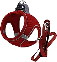 Vista 6 de MITA Juego de arnés y correa para perro, arnés para cachorro, arnés para gato, cómodo arnés para perros grandes y pequeños, transpirable y de malla