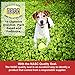 NWC Naturals Total-Zymes Digestive Enzymes for Cats and Dogs, Unflavored, Gut Health with Prebiotic to Support Food Digestion & Absorption, 365 Servings - 8 Ounces