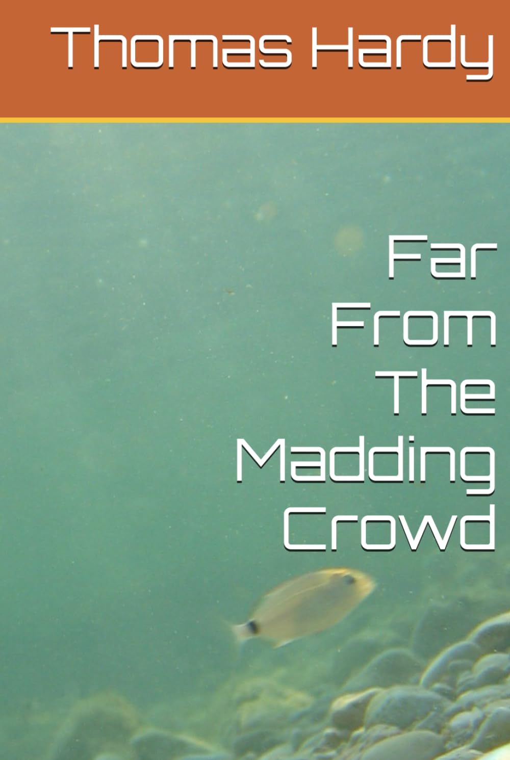 Far From The Madding Crowd