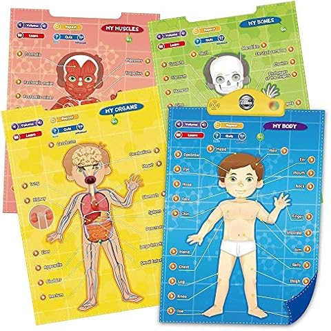 Think Gizmos My Body Interactive Educational Human Anatomy Talking Game Toy System to Learn Body Parts, Organs, Muscles and Bones for Kids Age 5 to 12 Cover