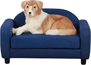 The 10 Best Couches For Dogs of 2025 7 615D3yacq5L. AC SX300 SY300 QL70 FMwebp