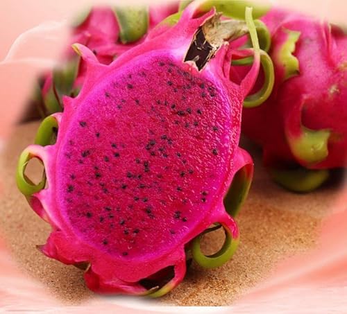 200 White Dragon Fruit Seeds For Planting #TOP2