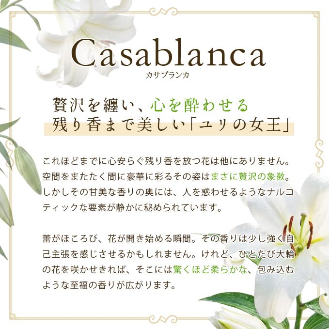 Amazon.co.jp: 生花のフレグランス (衣服用香水) (カサブランカ