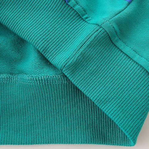 Boys Sweatshirts Long Sleeve Sweatshirts T-shirts Crew Neck Cotton Casual Sweatshirts Cartoon Tops for Boys-714