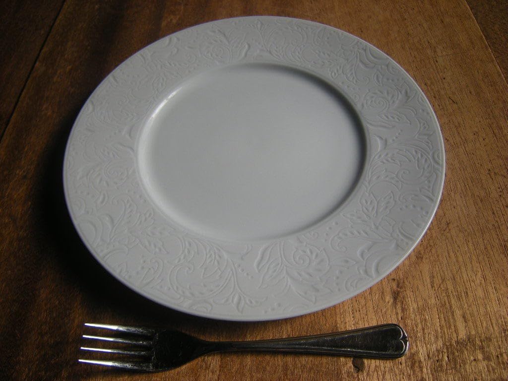 山美濃焼・エンボス 象嵌 リムプレート 蔦唐草 白磁器 パスタ・サラダ 9寸（28㎝ｘ2㎝）1枚から お勧め