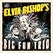Elvin Bishop's Big Fun Trio