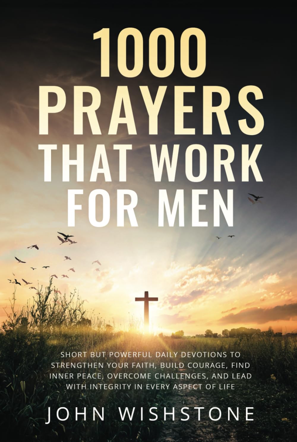 1000 Prayers That Work for Men: Short but Powerful Daily Devotions to Strengthen Your Faith, Build Courage, Find Inner Peace, Overcome Challenges, and ... in Every Aspect of Life (Prayer & Devotional)