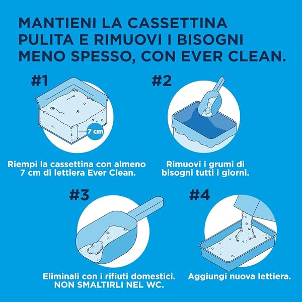 Ever Clean Lettiera Agglomerante Extra Forte Ever Clean, 10.Litri, Non Profumata - 4