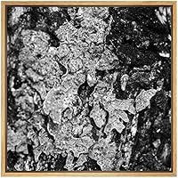 SIGNWIN Framed Canvas Wall Art Aged Oak Tree Bark Nature Texture Photography Minimalism Modern Closeup Dramatic Black and White for Living Room, Bedroom, Office - 16