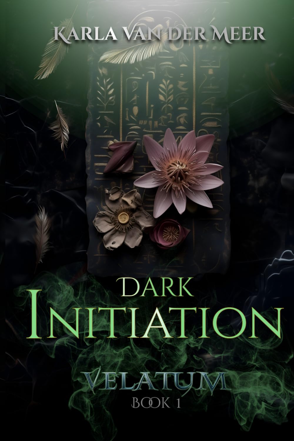 VELATUM: Dark Initiation (Book 1): A dark paranormal romance with urban‑fantasy vibes: secret‑society/dark academia, enemies‑to‑lovers, a morally ... and ritual‑laced spice (VELATUM: The series)