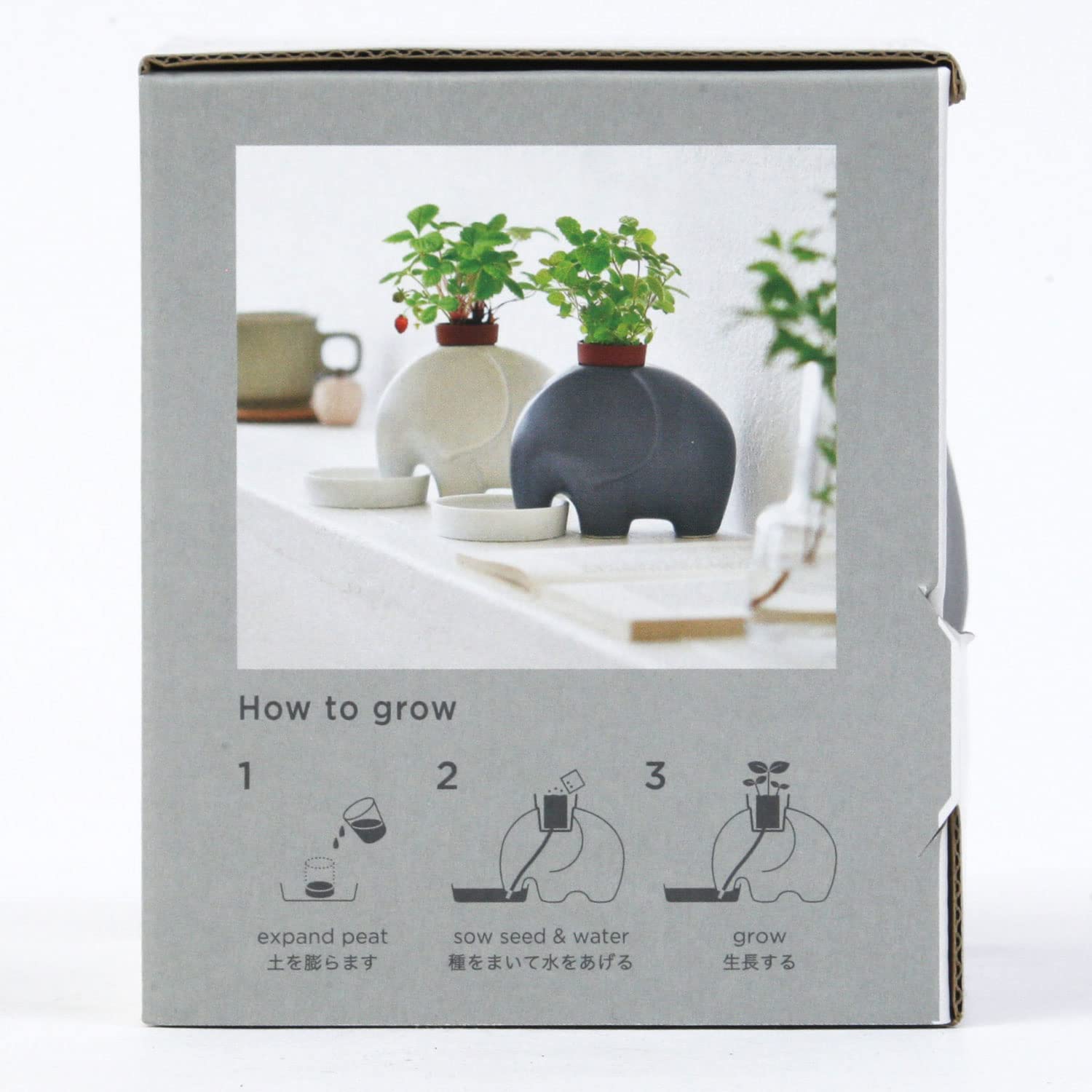 山野草セット Amazon.co.jp: Seishin Pottery GD-95502 All-Year, Easy