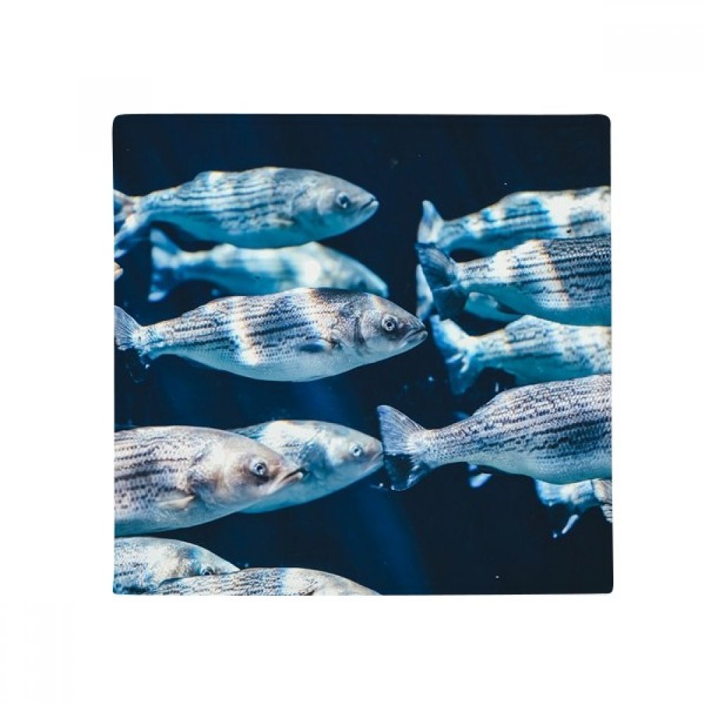 Tapis animaux marins tropical et antidérapant pour sécuriser la cuisine et le salon