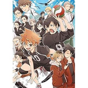 Haikyuu!! Anime Poster-11 x 17 inch, 28 x 43 cm